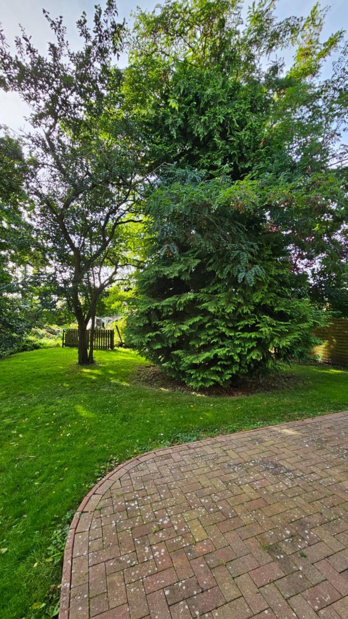 Usedom Suites Zinnowitz Esterno foto